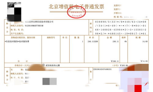 利用本地大模型高效提取發(fā)票信息 票據(jù)信息咨詢服務的革新之路